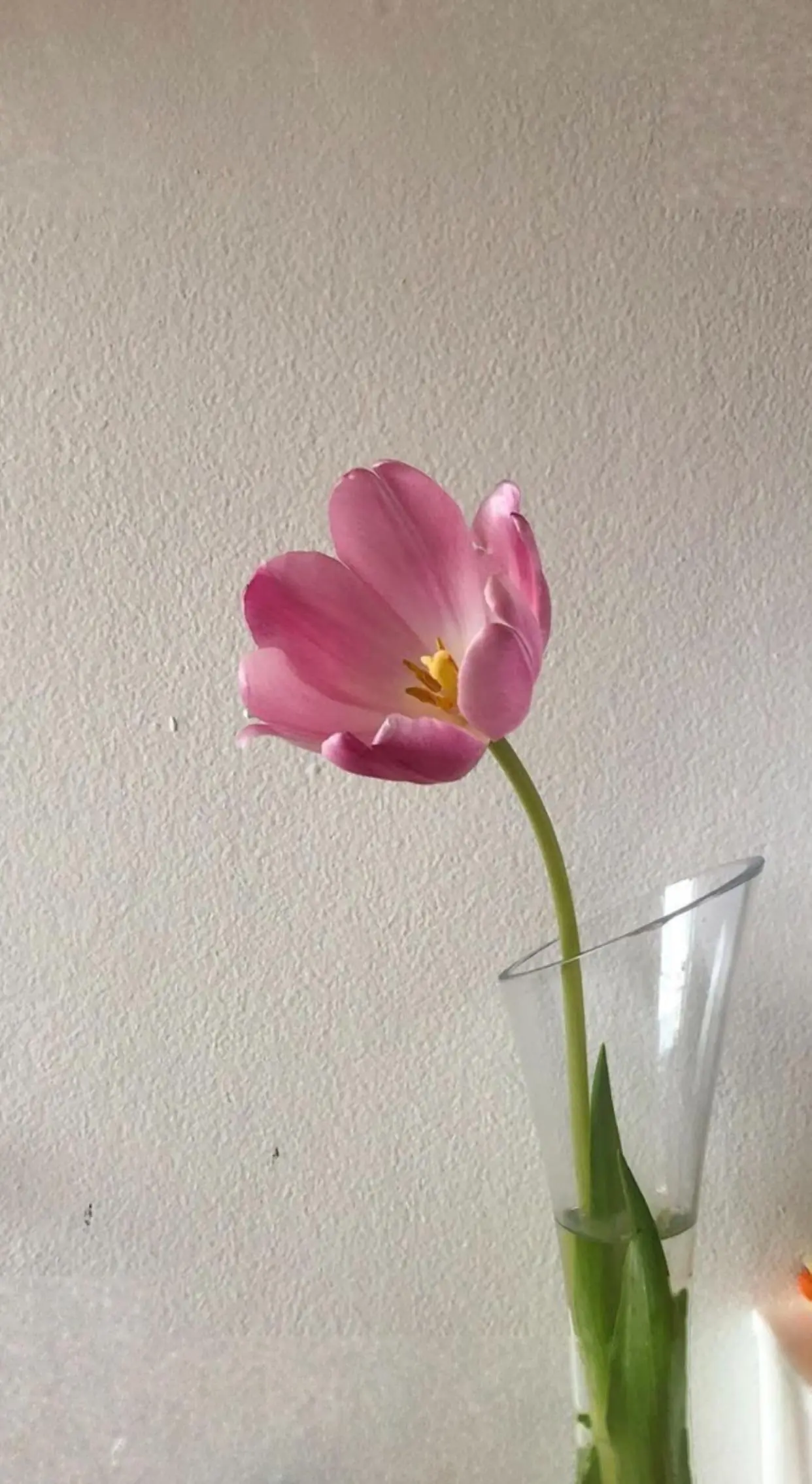 Bìa VÌ EM XỨNG ĐÁNG