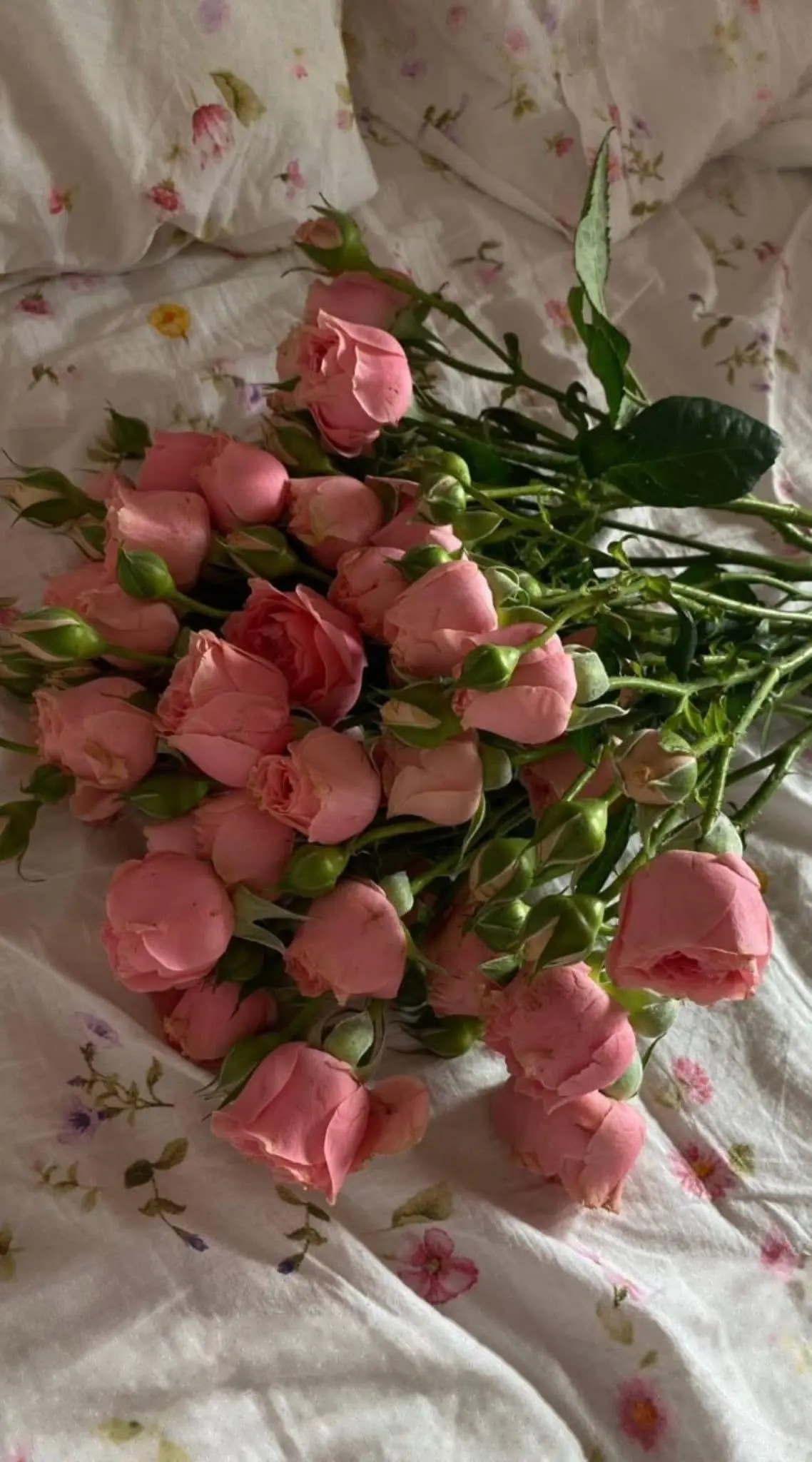 Bìa GẶP LẠI TÌNH ĐỊCH CŨ