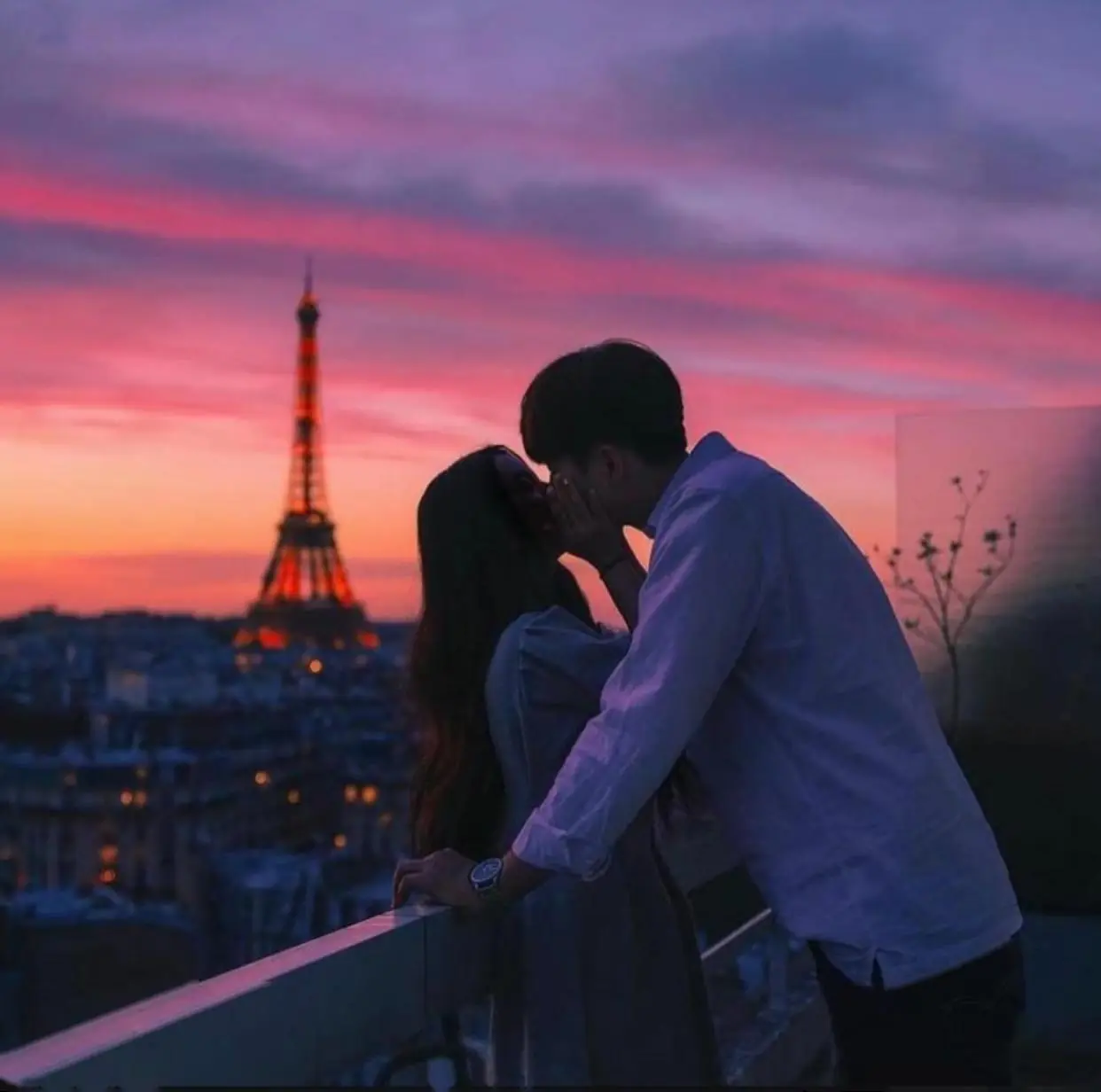 Bìa ĐOÁ MẪU ĐƠN TRẮNG