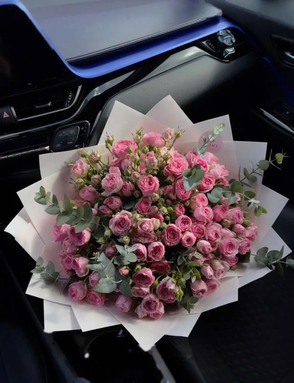 Bìa TÔI ĐỂ Ý ANH TRAI CỦA KẺ THÙ