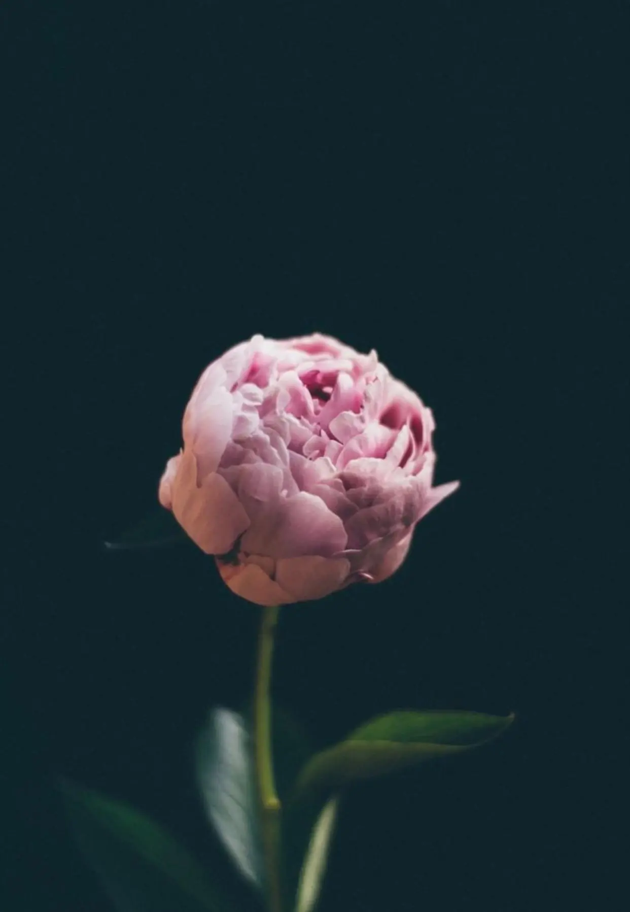 Bìa TÌNH CẢM VẤN VƯƠNG