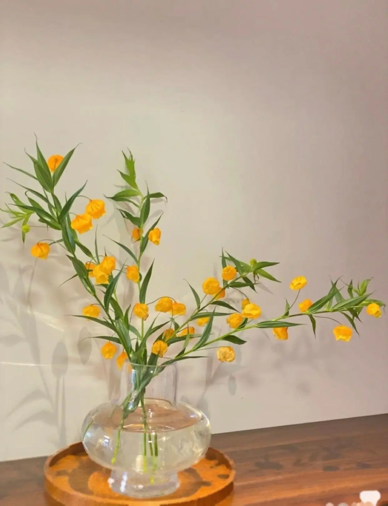 Bìa CUỘC ĐỜI CỦA UYÊN UYÊN
