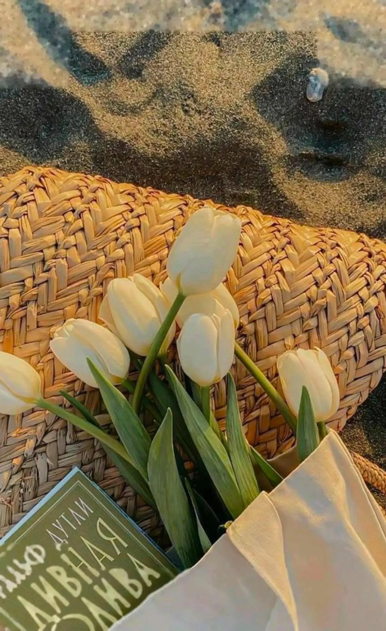 Bìa CÔ NÀNG LỤC NHAN