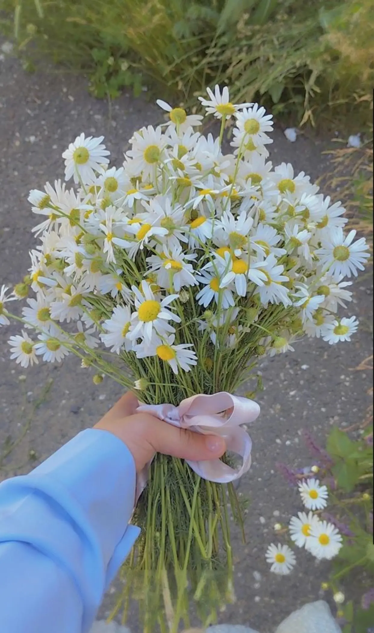 Bìa GIẢ VỜ BUÔNG BỎ ĐỂ DẪN DỤ
