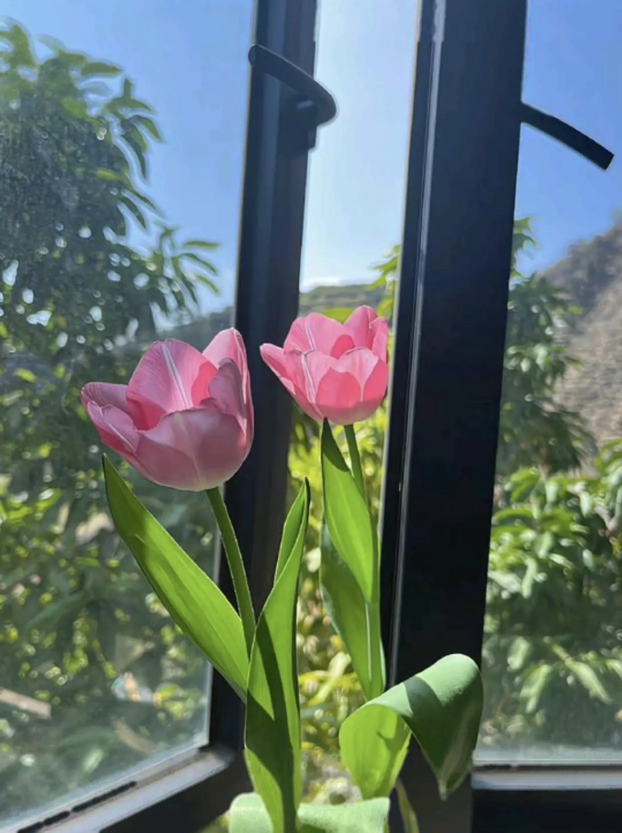Bìa GIẢM CÂN THÀNH CÔNG
