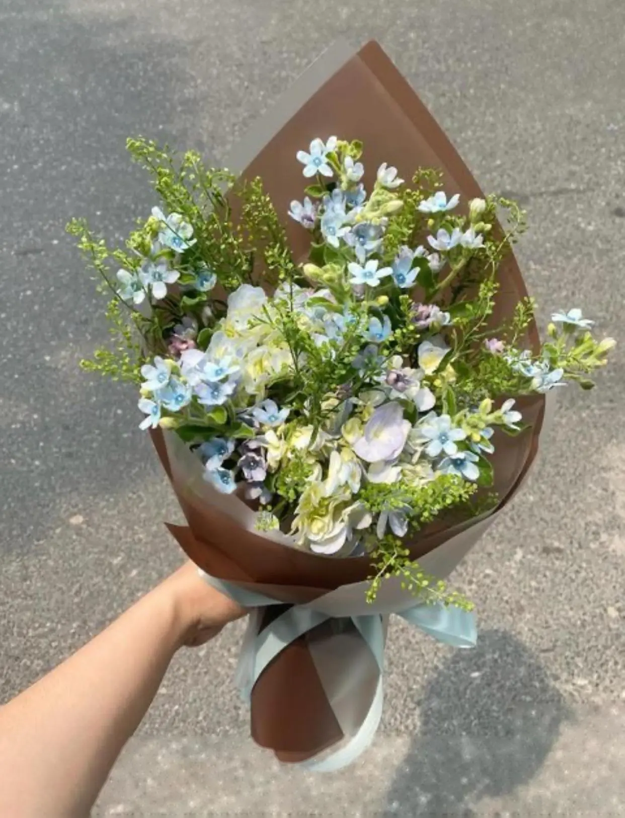 Bìa HÀ THƯ DIỄM