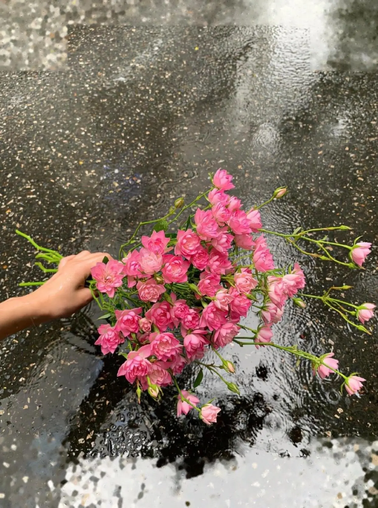 Bìa NHẶT MỘT ANH MỊ MA VỀ NUÔI