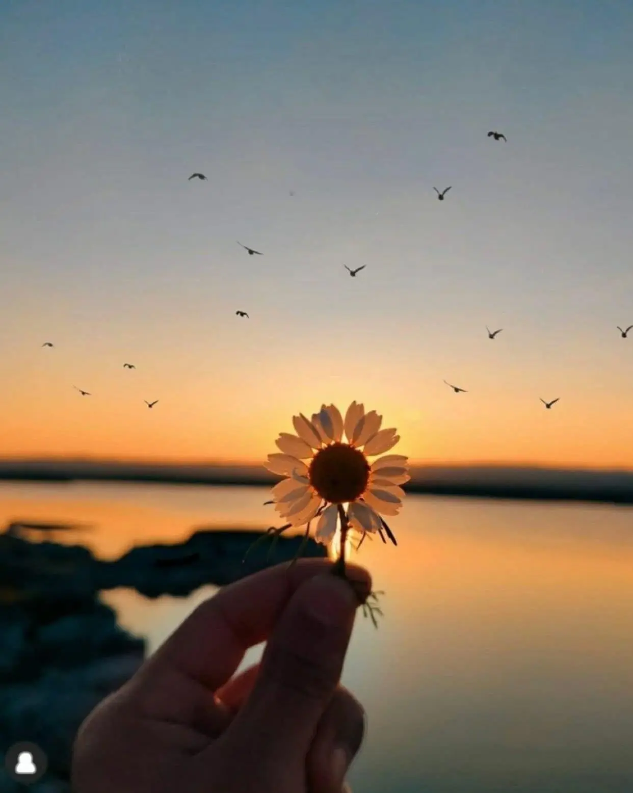 Bìa TUỔI THƠ CÙNG ANH TRAI XĂM TRỔ