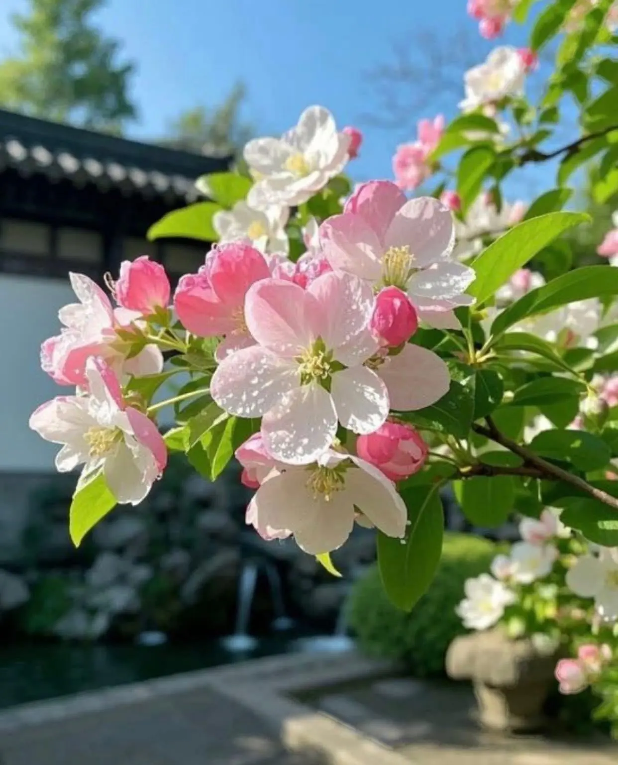 Bìa NGÀY TA ĐƯỢC BAN HÔN